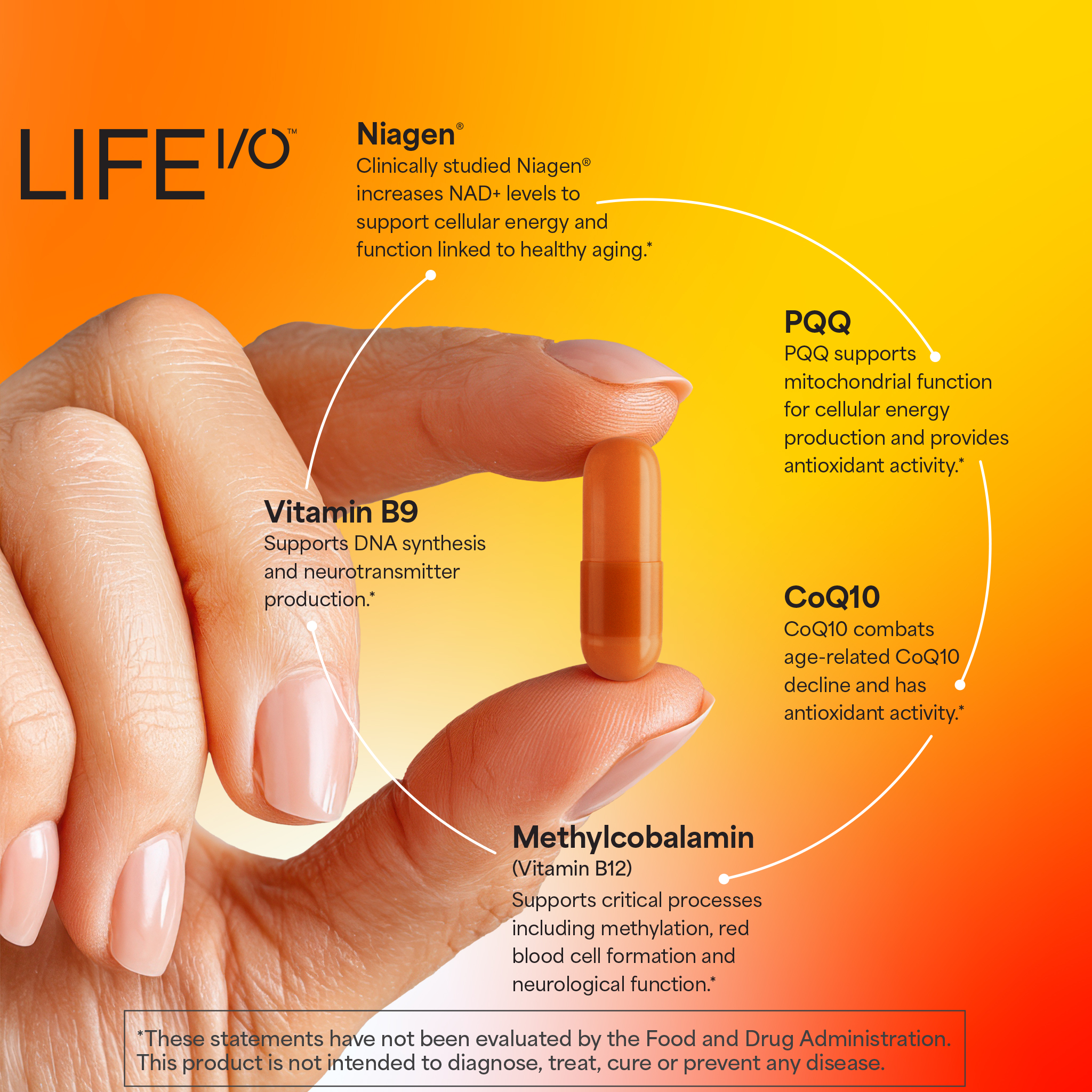 Life I/O Baseline Kit thumbnail 2