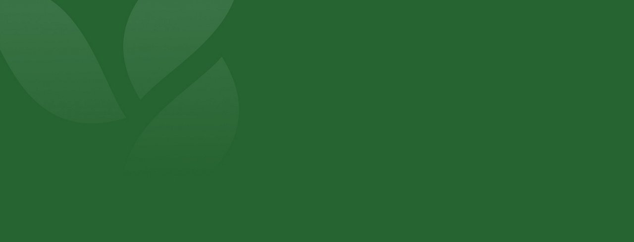 Green Logo Background