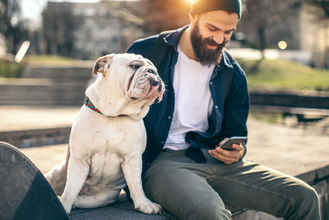 Man sits with his dog in the park while looking at his cell phone