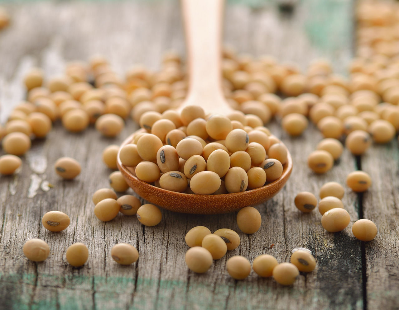 Uncooked soybeans