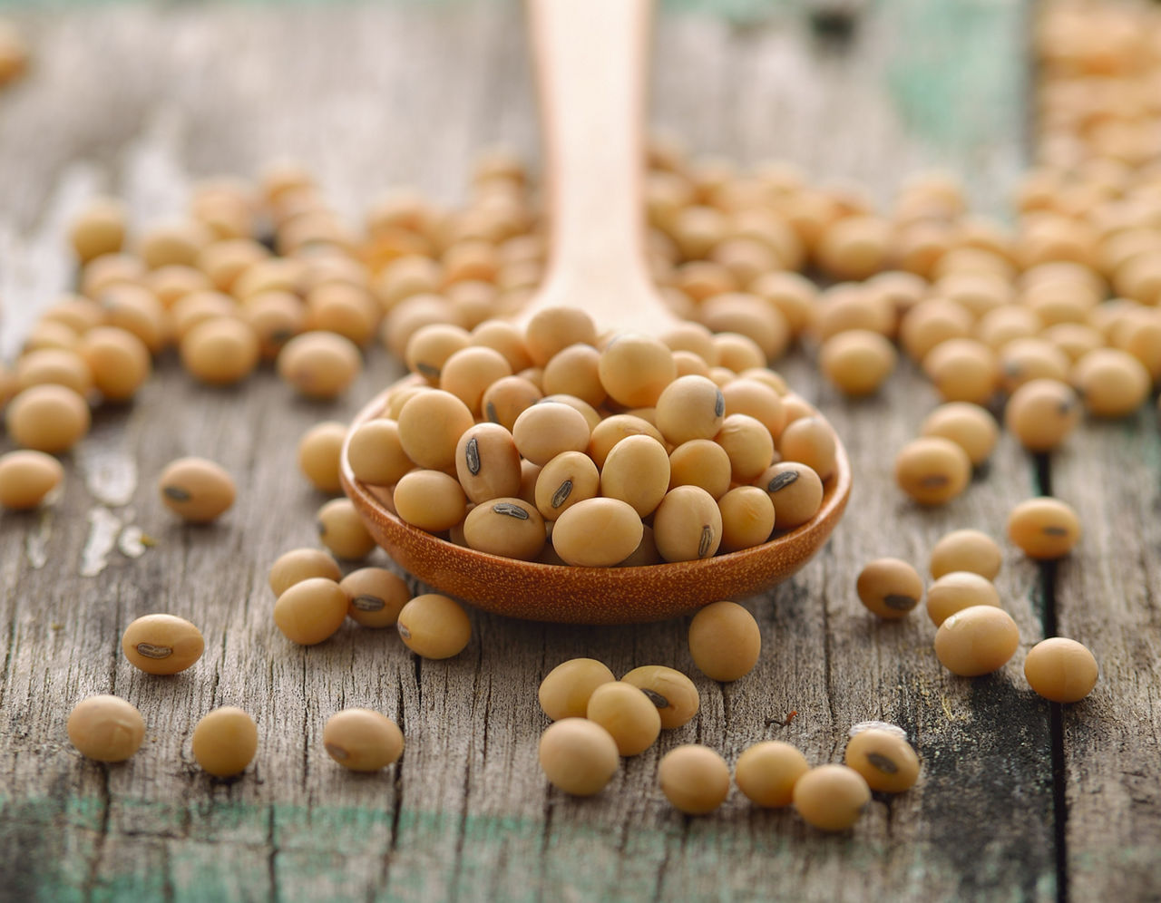 soy beans in wooden spoon