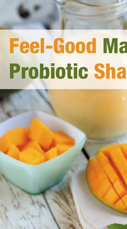 HERBALIFE Healthy Meal マンゴー 2本セット HERBALIFE Healthy Meal マンゴー 2本セット