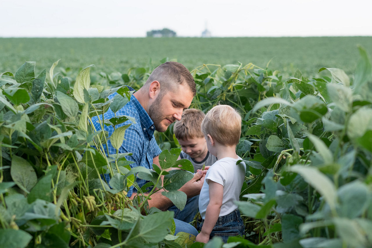 Soybean farmer kneeling in a soybean field with children