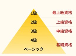 フードアナリストについて