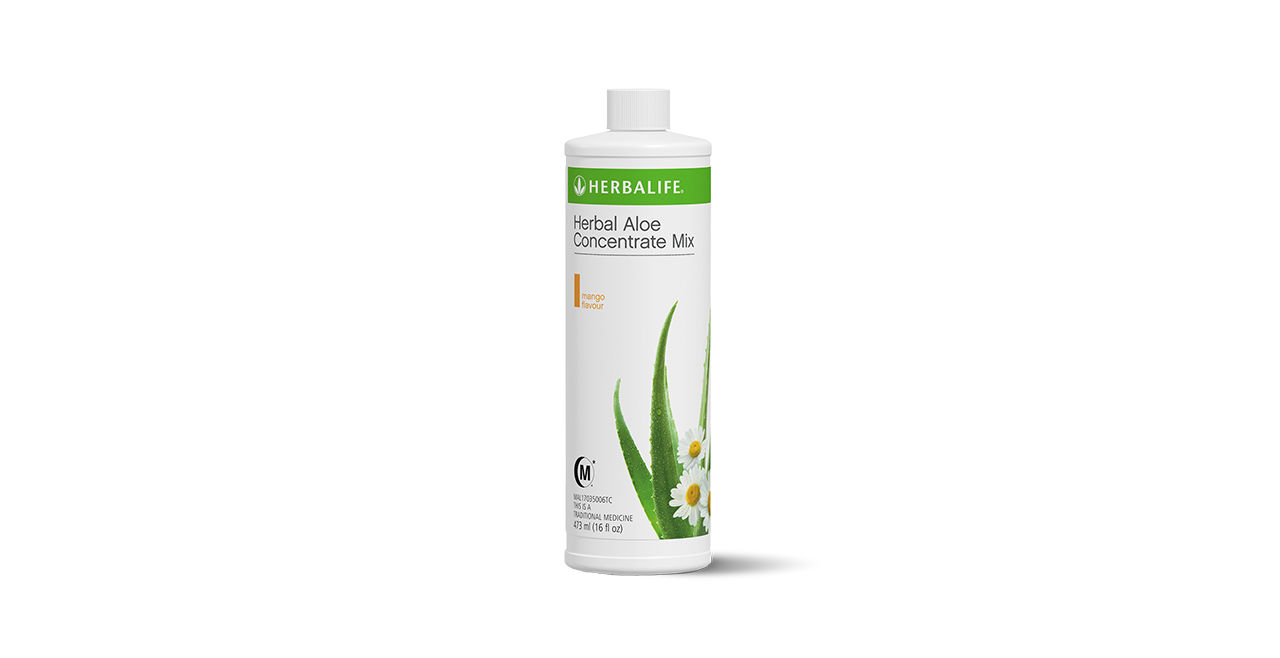 aloe vera nach drauen Aloe Vera Alfonso  Aloe-Vera-Pflanze in Grtnerqualitt kaufen