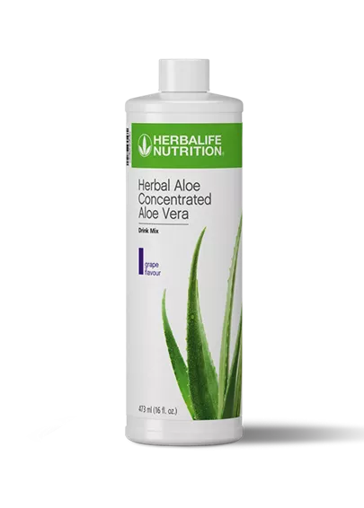 Herbal Aloe Concentrate Grape 473mL