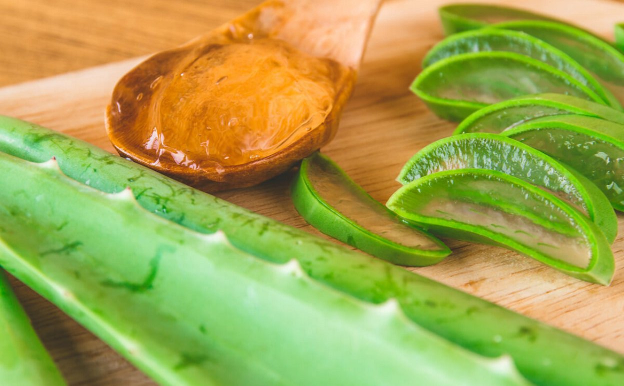 Qué es el Aloe Vera y para qué sirve? | Herbalife Colombia