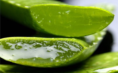 ​​Beneficios de la sábila en el cabello y piel​