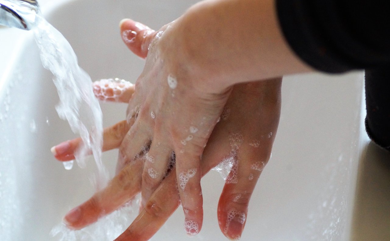 -​​​¿Qué es el sistema inmunológico y cuál es su función?​​-image