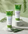 Herbal Aloe Soothing Gel and Everyday Soothing Hand & Body Lotion - prepared product