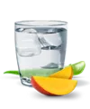 Herbalife Aloe örtkoncentrat Mango 473 ml Förberedd produkt